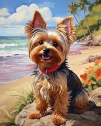 Norimpex Malen nach Zahlen Yorkshire am Strand 40 × 50 cm