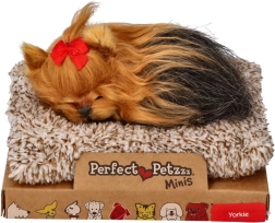 Perfektes Haustier kleines Yorkie-Welpe