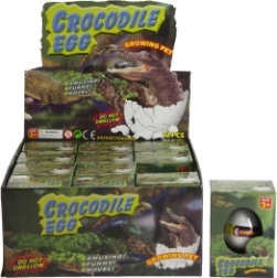 Ei mit wachsendem Krokodil für Wasser