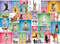Puzzle EUROGRAPHICS Hunde-Yoga 1000 Teile