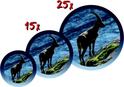 NAVIR Kinderfernrohr mit Stativ – Farb-Mix