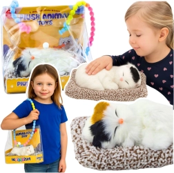 Schlafende Kätzchen auf Kissen mit weichem Fell und Miau-Geräuschen in tragetasche