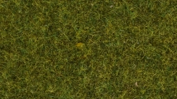 Statische Gras Noch wilde Wiese, 9 mm