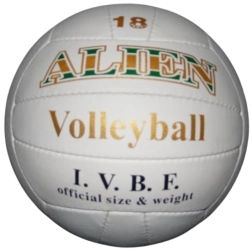 Volleyball Alien 22 cm