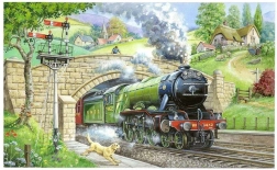 HOP Puzzle Zugbeobachtung 250 Teile