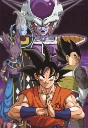 Puzzle Dragon Ball 104 Teile