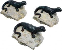 Dekoration Eidechse - Set 3 Stk.