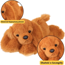 Plüschhund Cocker Spaniel mit beschwerten Pfoten braun 30cm