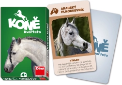 Quartett Pferde DINO