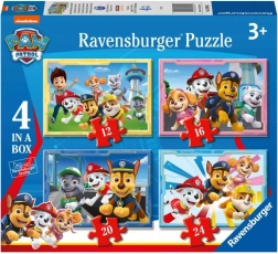 Paw Patrol 4 in 1