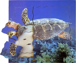 Holzschichtpuzzle Schildkröte - 19 Teile