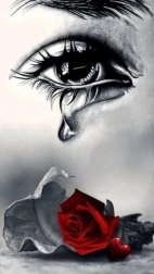 Diamantmalerei Weinen über der Rose 30 × 40 cm