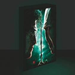 Leuchtbild LED 30x40, Harry Potter - Harry vs. Voldemort