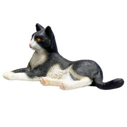 Schwarz-weiße liegende Katze Mojo