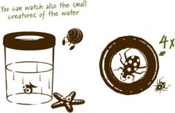 Navir Explora großer Becher zur Beobachtung von Insekten