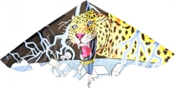 Lenkdrachen für Kinder 115 × 72 cm