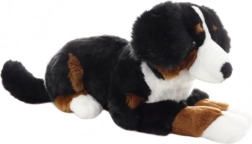 Plüschiger Berner Sennenhund 65 cm