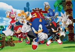 Puzzle Sonic 104 Teile