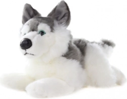 Plüsch-Husky 34 cm
