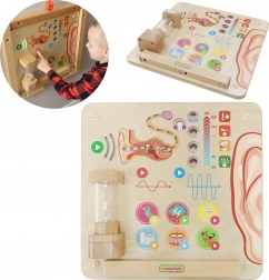 Masterkidz Bildungstafel Visuelle Sinne Montessori