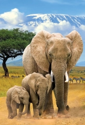 EUROGRAPHICS Puzzle Save Our Planet: Elefanten XL 250 Teile