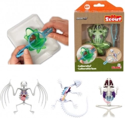 Mini-Sezierlabor – Frosch, Salamander oder Fledermaus