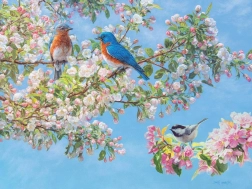 Puzzle Blumenfestival XL 275 Teile von Cobble Hill