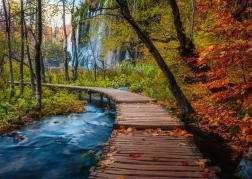 Puzzle RAVENSBURGER Geheimnisvoller Wald 1000 Teile