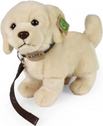 Plüschhund Golden Retriever mit Leine 25 cm