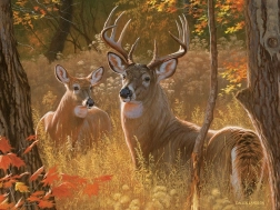 Puzzle Geheimes Treffen XL 275 Teile COBBLE HILL