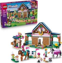 LEGO Friends Pferdestall und Reitakademie