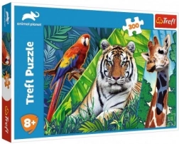 Puzzle Erstaunliche Tiere 300 Teile 60 × 40 cm