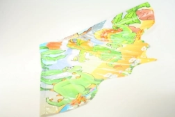 Drache mit Drachenmotiv