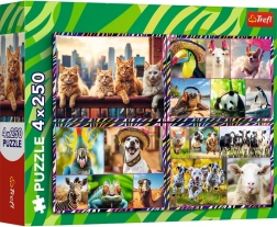 Puzzle 4×250 Teile Fröhliche Tiere