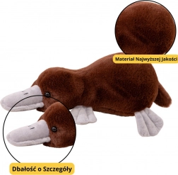 Braunes Plüschspielzeug Schnabeltier 32 cm