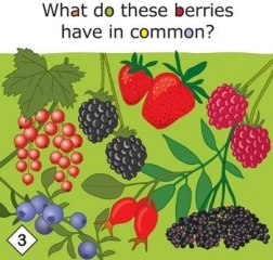 Yummy! Lernspiel über gesunde Ernährung für Kinder ab 3 Jahren