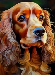 Diamantmalerei Cocker Spaniel 30 × 40 cm