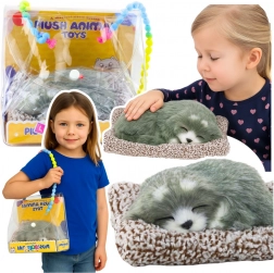 Schlafender Husky auf Kissen mit weichem Fell und Geräuschen, Tragetasche