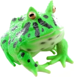 Plastikfrosch – realistische Spielfigur für Kinder