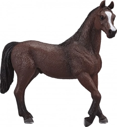 Mojo Arabischer Hengst