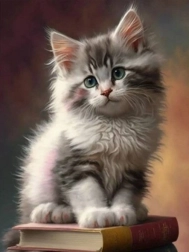 Diamantmosaik – Kätzchen auf Büchern