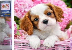 Diamantmalerei Welpe im rosa Körbchen 30 × 40 cm