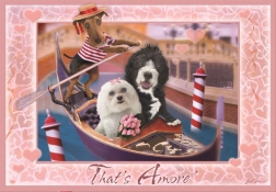 Puzzle Das ist Liebe 260 Teile