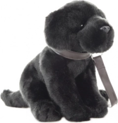 Plüsch-Labrador mit Leine 30 cm – eco friendly
