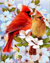 Diamantmalerei Vögel auf dem Ast 30 × 40 cm