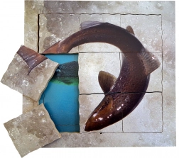 Just Jigsaws Lachs und sein Lebenszyklus - Holzschichten-Puzzle