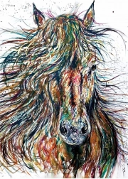 Puzzle ANATOLIAN Wind 500 Teile