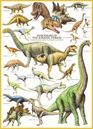 Eurographics Puzzle Dinosaurier aus der Jura-Zeit 1000 Teile