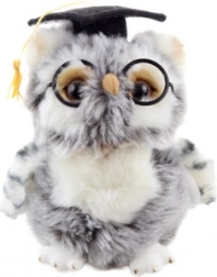 Plüsch-Eule Absolvent