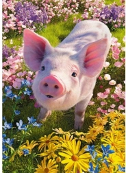 Cherry Pazzi Puzzle Magst du mich? 500 Teile